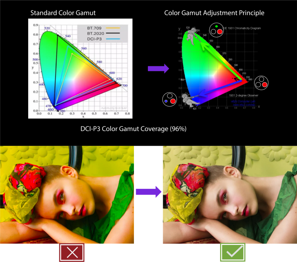 Wide Color Gamut, Precise Color Management